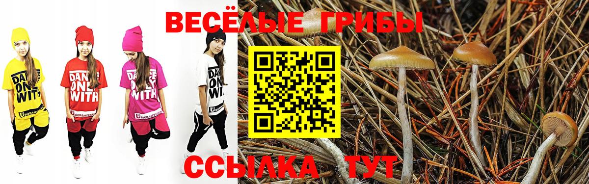 Псилоцибиновые грибы мухоморы Кыштым